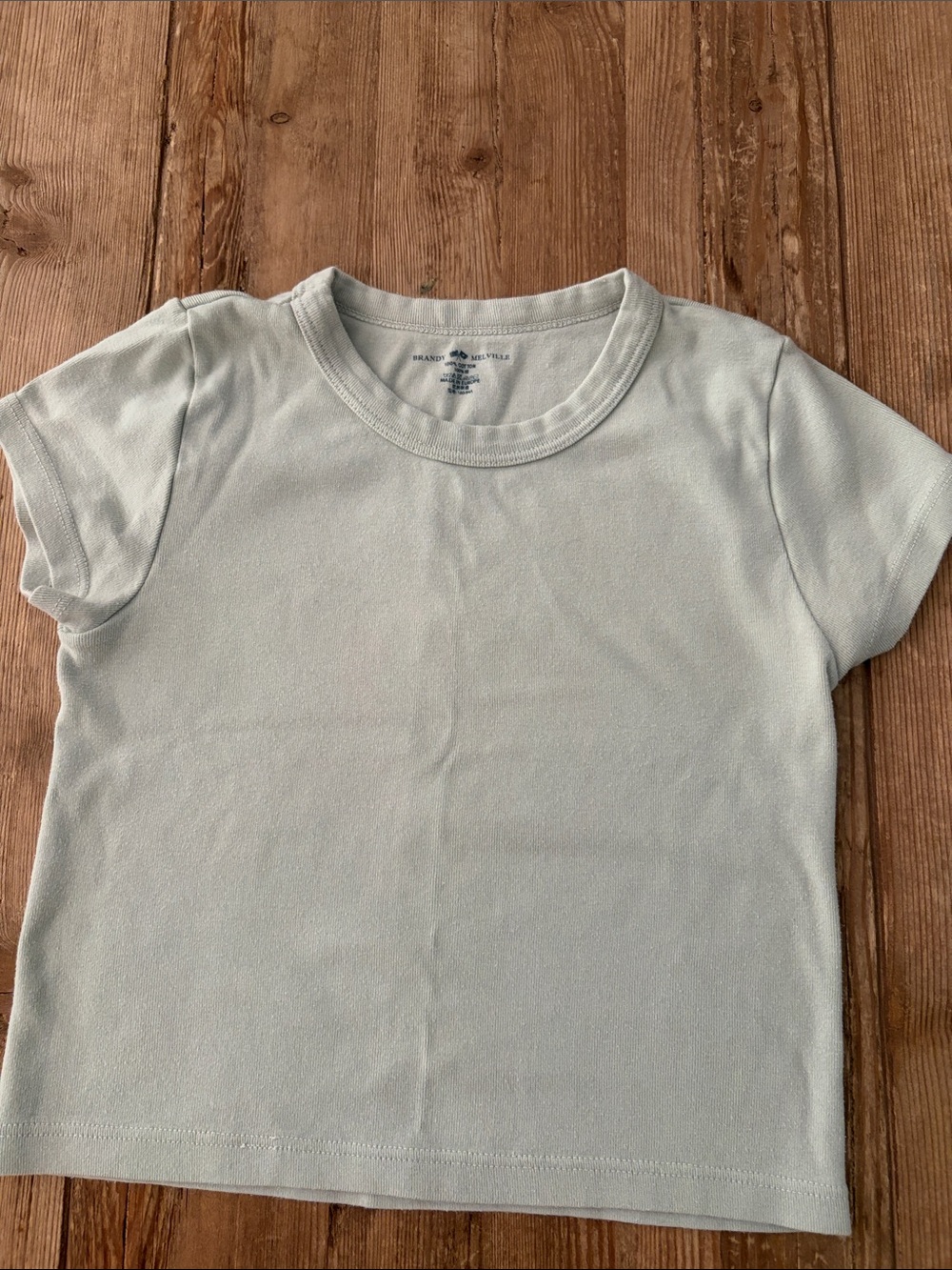Brandy Melville Light Mint Short Sleeve Tee